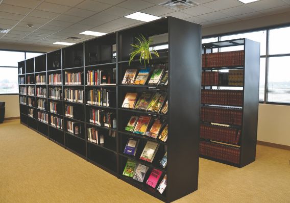 Globe Library shelving